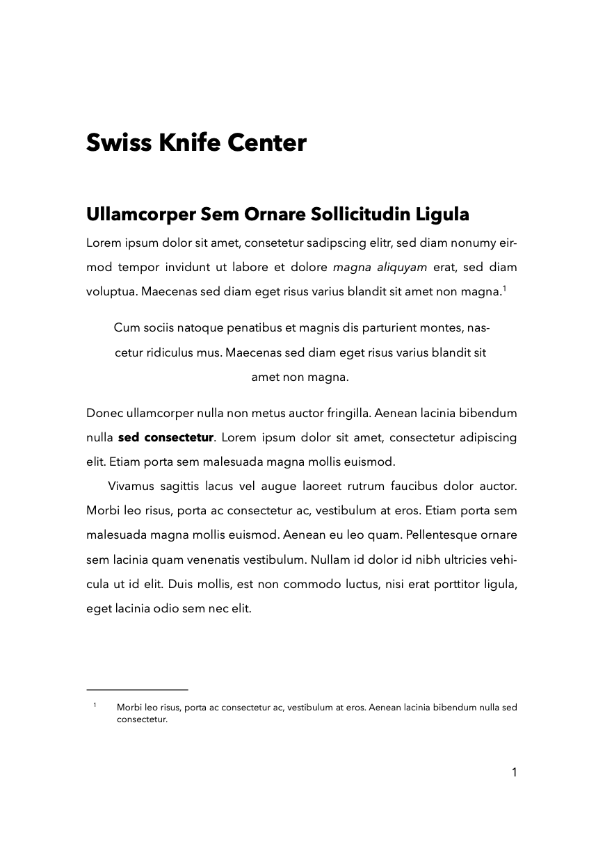 Swiss Knife Center Preview 1