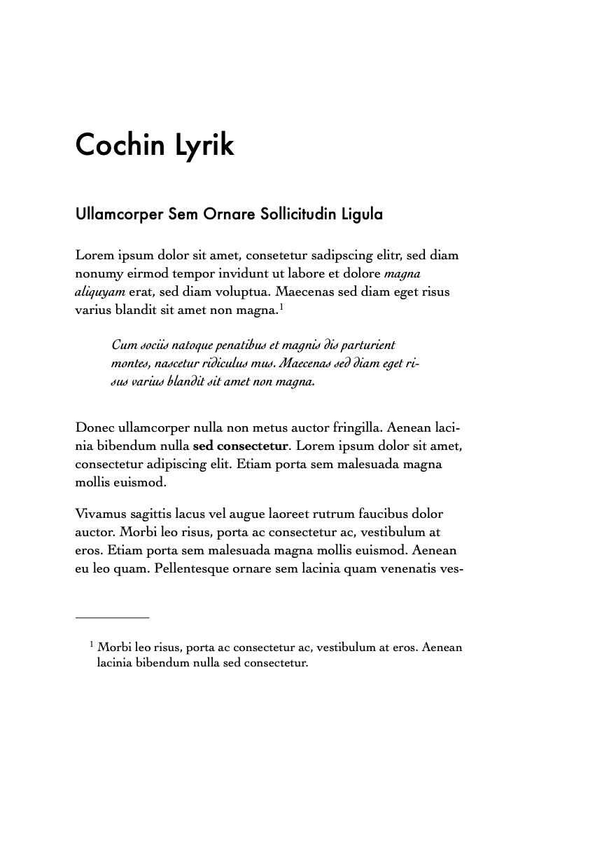 Cochin Lyrik Preview 1