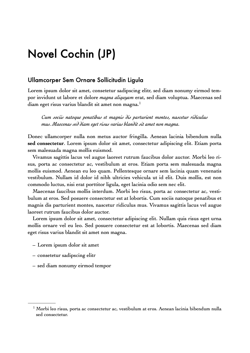 Novel Cochin (JP) Preview 1